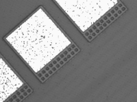 Chip ebeam image of pads